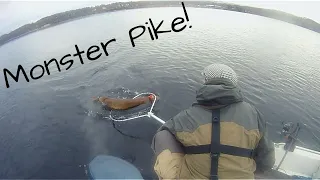 Catching a MONSTER PIKE Over 18 Kilos!