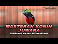 Lagu MASTERAN KONIN JUWARA GACOR FULL ISIAN TEMBAKAN KASAR COCOK UNTUK MATERI SEGALA JENIS BURUNG