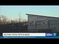 Can you foster or adopt a pet Memphis Animal Services needs your help