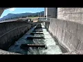 Bonneville Dam fish ladder from above Washington state
