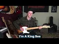 How To Play I'm A King Bee On Guitar | Muddy Waters Guitar Lesson + Tutorial