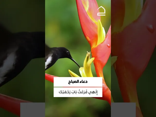 ⁣دعاء الصباح 