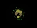 Visualize music with processing - pick me up