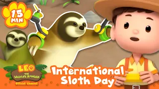 Let's laze around on International Sloth Day! | Leo the Wildlife Ranger | Learning Animal Cartoons