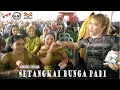Download Lagu DANGDUT SETANGKAI BUNGA PADI🎸VJ EMYK VS VJ MIRANDA🎸OT. MEIHWA ENTERTAINMENT LIVE CAMBAI SELAPAN OKI🎸