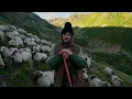 Download Lagu 1700 de oi în munții Făgăraș cu tânărul Mihai Guiman | Întâlnire cu lupul | Bulz făcut pe jar Ep.1