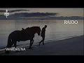 Download Lagu Wardruna - Raido (Official music video)