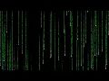 The Matrix Falling Code Full Sequence 1920 x 1080 720p