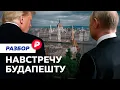 Lagu Новая попытка: чего ожидать от переговоров Путина и Трампа в Венгрии?