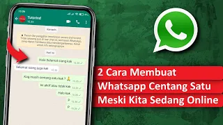 Cara Membuat Whatsapp Centang Satu Meskipun Sedang Online