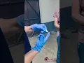 Applying eye ointments to a horses eye