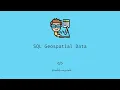 45-Second Crash Course SQL Geospatial Data