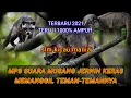 Download Lagu MP3 TERBARU 2021|SUARA PIKAT MUSANG MEMANGGIL TEMAN-TEMANNYA