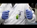 Researchers develop accessible biotech platform for labs worldwide