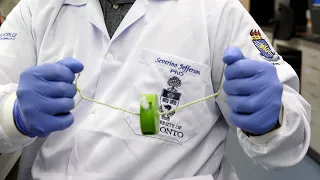Researchers develop accessible biotech platform for labs worldwide