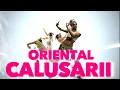Soul Harmony Oriental Calusarii 528 Music Therapy Pace si Iubire