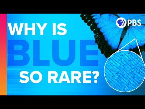 Download MP3 Why Is Blue So Rare In Nature?