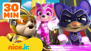 PAW Patrol's Biggest Baddies 😈 ft. Skye and Rubble | 30 Minutes | Nick Jr.