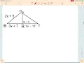 Special Segments in Triangles