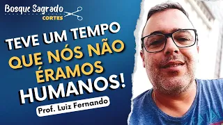 Como acontece a EVOLUÇÃO dos ESPÍRITOS | Corte da Live @CanalEspiritaProfLuizFernando