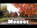 Driving Around Monroe Michigan in 4k
