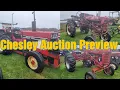 Chesley Auction