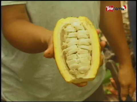 Ecuador Agropecuario 22-12-2017