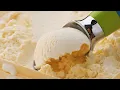 1 Hour Jazzhop LoFi Chill Beats Relaxing Ice Cream Ambience Sagyouyou