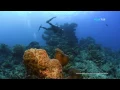Lagu Dive Tenggol Island_Gua Rajawali