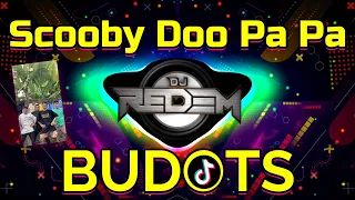 Download TikTok Viral | Scooby Doo Papa BUDOTS Dance (Spain) DjRedem Latino Remix MP3