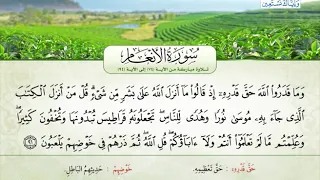 سورة الأنعام من الآية 74 إلى 94 القارئ الشيخ إسماعيل عدلي سكيك 