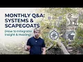 Community Review Systems Scapegoats Rebuilding Reality-Trust