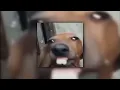 City is Ours - Big time rush [sped up]