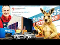 How Bunnings DWARFED Mitre 10 Became Australia s Go-To Hardware Store