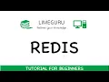 Learn Redis In 1 5 Hours - Redis Tutorial For Beginners