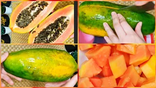 تذوقت ثمرة البابايا  الباباز لأول مرة   و طريقة اختيارها الصحيحة و تحضيرها للأكل و التخزين          دندنها