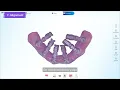 Introduction All-on-XScanning Workflow