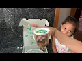 Sophia has butterflies Insect Lore Butterfly Kit