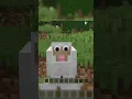 Downloading A Random Texture Pack In Minecraft