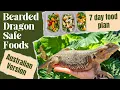 Bearded dragon diet - Australian version