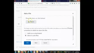 HOW TO Reply to a Discussion Forum Post