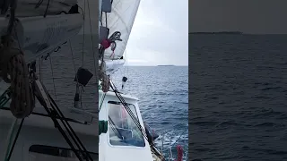 Sulawesi Sailing Vibes From Latest Episode