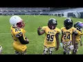 KAOS Bulldogs 8u Soldier Field 2024