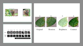 Data Augmentation Explained Boost Deep Learning Performance with Simple Tricks
