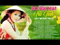 Download Lagu 30 Bài Hát Trữ Tình NGHE XUYÊN TẾT  - Nhạc Trữ Tình Chọn Lọc Nhiều Người Nghe Nhất