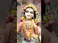Download Lagu koi laya phool ki mala ♥️ #shorts #krishna #radha #radhakrishna