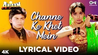 channe ke khet mein lyrical anjaam shahrukh khan u0026 madhuri dixit poornima