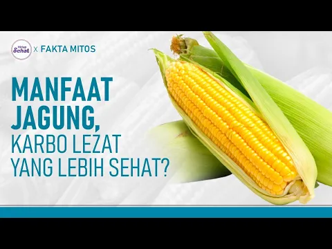 Suka Makan Jagung? Ketahui Sejumlah Manfaatnya