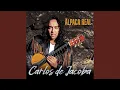 Download Lagu Amor y Amar (Tangos)