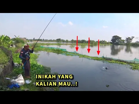 Download MP3 LUDES! Pembatas kolam bolong, mancing pesta ikan mas dan nila besar di sungai